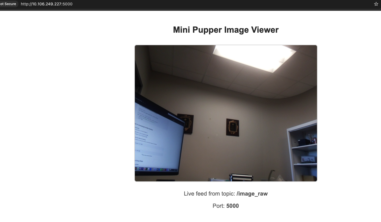 Web camera viewer interface